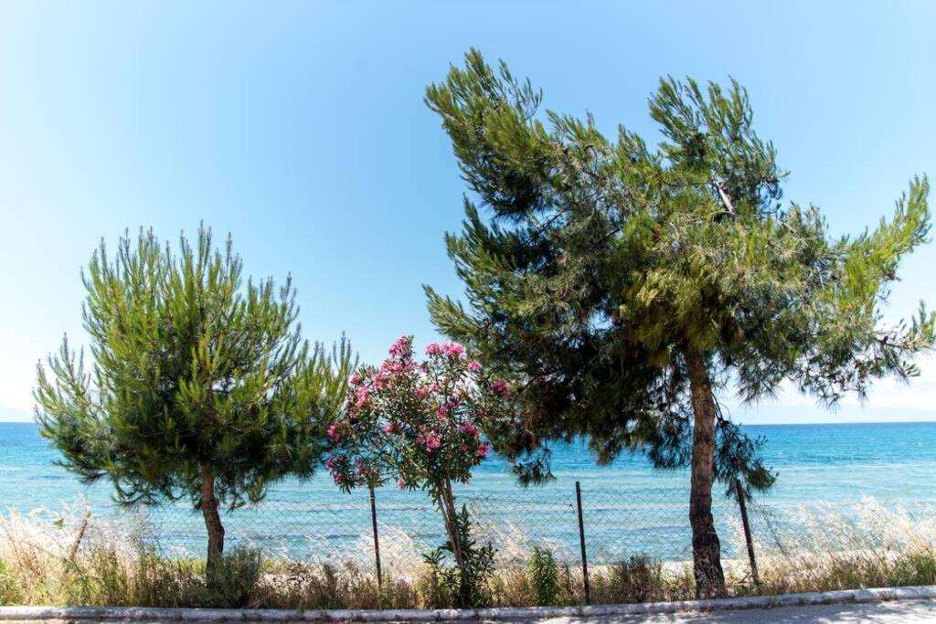 Seafront 2 Bedrooms Apartment Nea Iraklia Esterno foto
