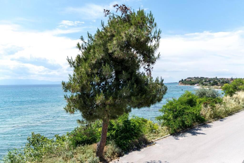 Seafront 2 Bedrooms Apartment Nea Iraklia Esterno foto